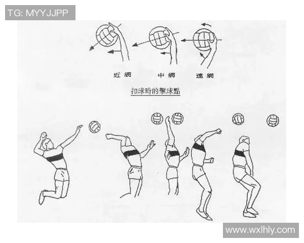 杭州排球队运营揭秘：深度解析排球背后的故事与策略