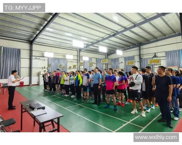 杭州羽毛球队配合技巧解析与战术探讨助力团队竞技水平提升