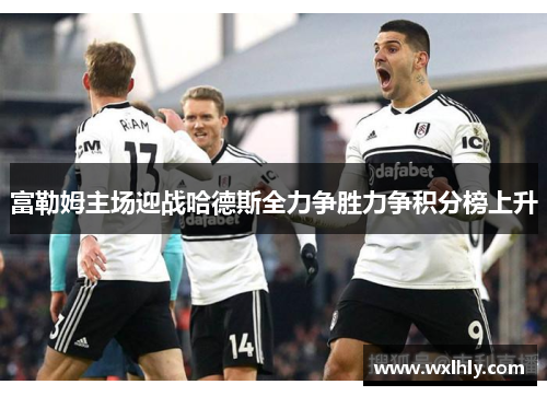 富勒姆主场迎战哈德斯全力争胜力争积分榜上升